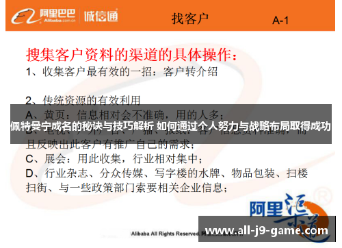佩特曼宁成名的秘诀与技巧解析 如何通过个人努力与战略布局取得成功