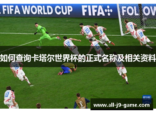 如何查询卡塔尔世界杯的正式名称及相关资料