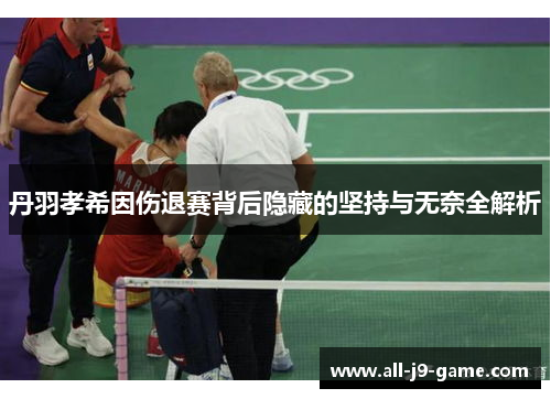 丹羽孝希因伤退赛背后隐藏的坚持与无奈全解析