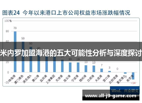 米内罗加盟海港的五大可能性分析与深度探讨